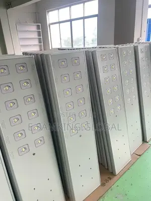 100W Wakatek Solar Street Lights