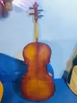 Full Size Professional 4/4 Cello - Shaded Amber - 2