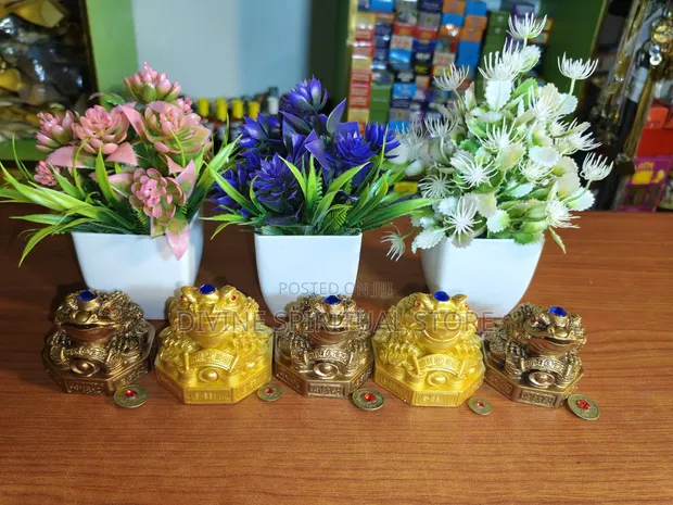 Feng Shui Money Frog - 1
