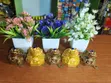 Feng Shui Money Frog - 1