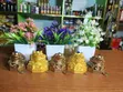 Feng Shui Money Frog - 2
