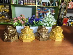 Kudin Dodo na Feng Shui