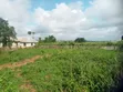 Land for Sale at Abiola Gasline, Arobieye - 13m - 1