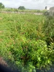 Land for Sale at Abiola Gasline, Arobieye - 13m - 4