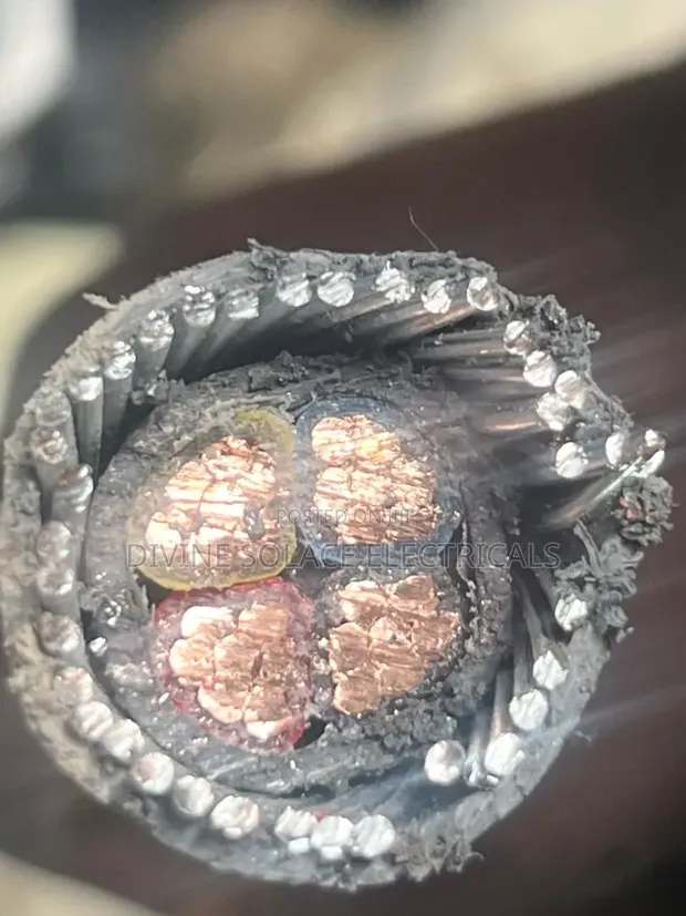 25mm 4 Core Armoured Cable - 1