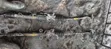Steering Rack Toyota Avensis (1998-2000) - 2