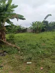 Cikakken Filin Ƙasa a Agbara Area 5 - 1