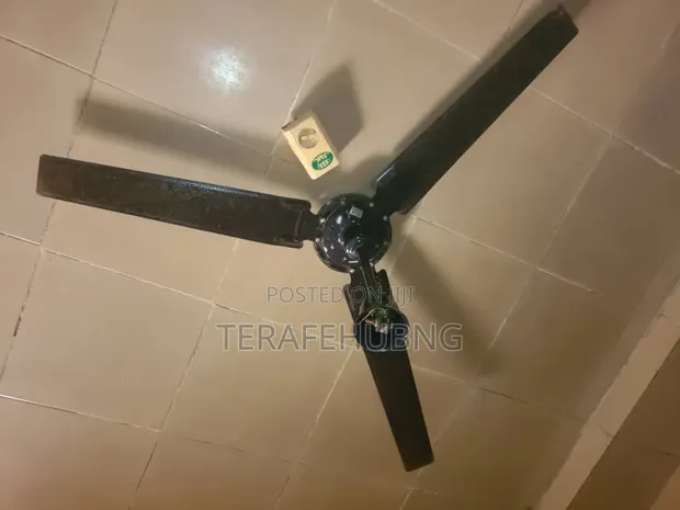 Ox Ceiling Fan - 1