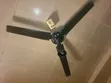 Ox Ceiling Fan - 1