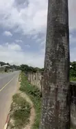 1,530sqm Fenced Land for Sale, Agodi GRA, Ibadan - 3