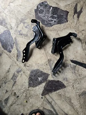 Bonnet Hinges for Toyota RAV4 (2020)