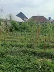 Damar Gwiwa: 1500sqm Filin Zama a Apo - 2