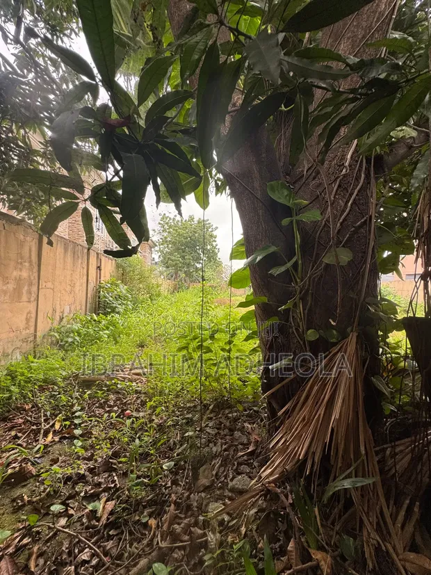 Filin 777sqm Mai Shinge & Get, Ana Sayarwa a Ilupeju, Lagos - 1