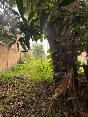 Filin 777sqm Mai Shinge & Get, Ana Sayarwa a Ilupeju, Lagos