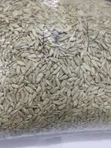 Premium Sunflower Seeds 10kg - 2