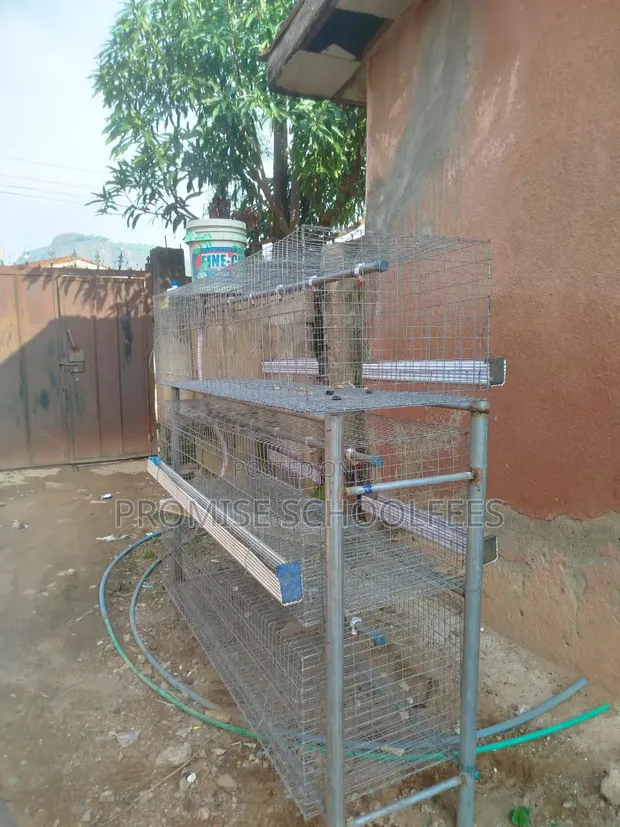 Used Battery Cage for Broilers or Layers - 1