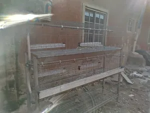 Used Battery Cage for Broilers or Layers