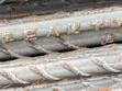 Sunflag TMT Tested Rods - 1