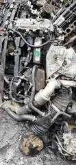 Hyundai/Kia 1.6L T-GDi Turbo Engine (Used) - 3