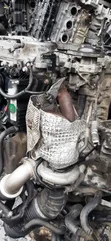 Hyundai/Kia 1.6L T-GDi Turbo Engine (Used) - 4