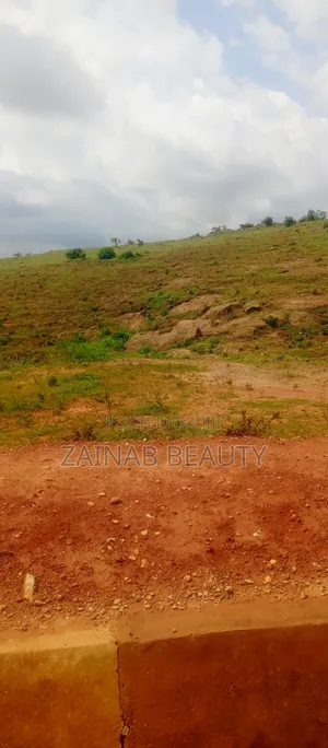 1700sqm Residential Land with CofO, Wasa