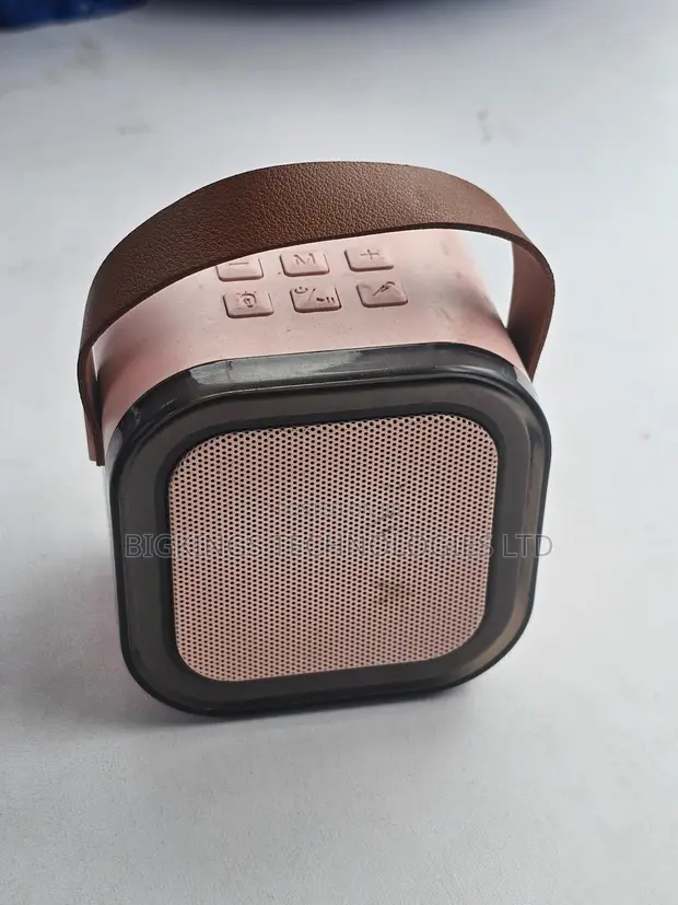 Wireless Karaoke Bluetooth Speaker - 1