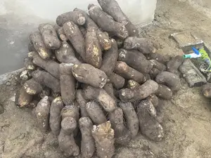 Fresh Farm Yams for Sale - Bulk & Retail