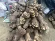 Fresh Farm Yams for Sale - Bulk & Retail - 2