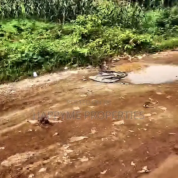 Dakibiyu Low-Density Residential Plot for Sale - 1