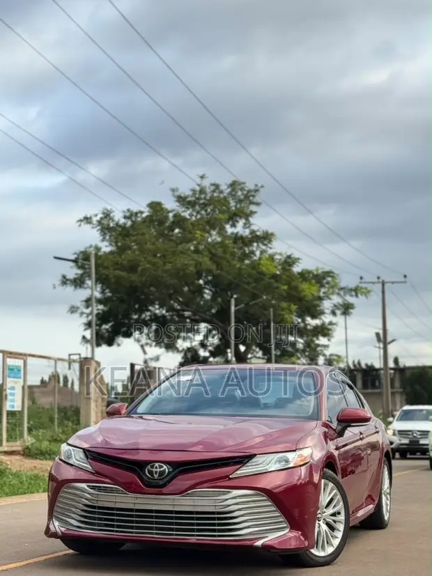 2019 Toyota Camry XLE (2.5L) Maroon - 1
