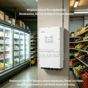 Solis S6-EH3P30K-H 30kW Hybrid Solar Inverter