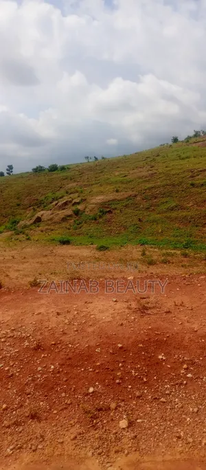 250sqm Residential Land for Sale in Apo Wasa with C of O
