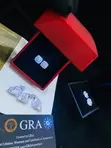 Dodanniya VVS Moissanite - Silver Plated - 5