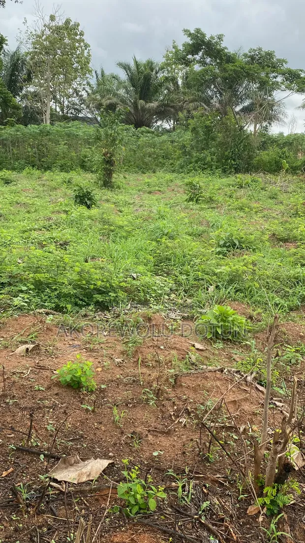 2 Plots of Land for Sale in Ife, Osun State - 1
