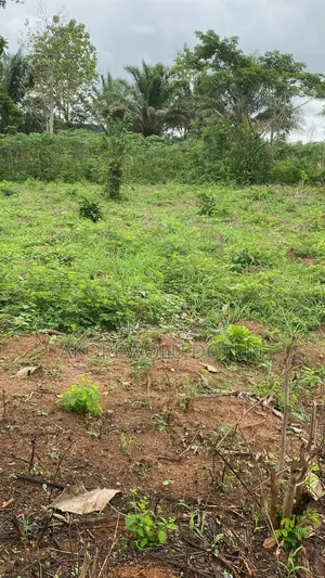 2 Plots of Land for Sale in Ife, Osun State