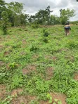 2 Plots of Land for Sale in Ife, Osun State - 2