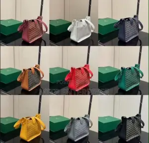 Goyard Premium Crossbody Bag