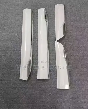 Door Molding for Toyota Land Cruiser 2024