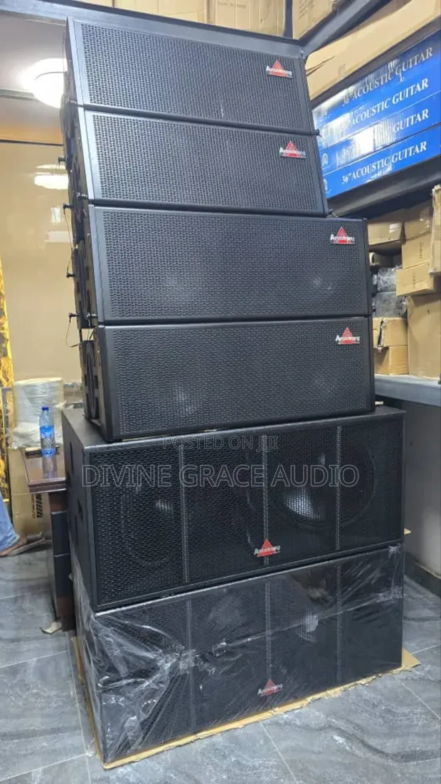 Armstrong Line Arny Speaker - 1