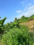 Filin Dama na Ruwa don Siyarwa a Ugbolokposo, Uvwie - 1