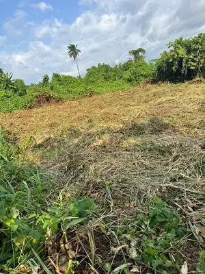 Filin Dama na Ruwa don Siyarwa a Ugbolokposo, Uvwie