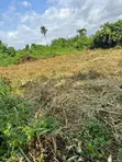 Filin Dama na Ruwa don Siyarwa a Ugbolokposo, Uvwie - 3