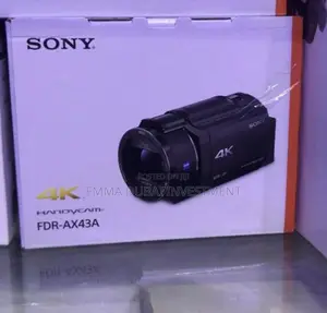 Sony FDR-AX43A 4K Camcorder with Built-in Gimbal