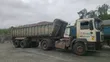 3/4" Giram Ginin Siminti - 1