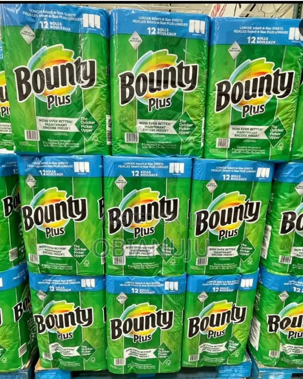 Bounty Paper Towel - 1
