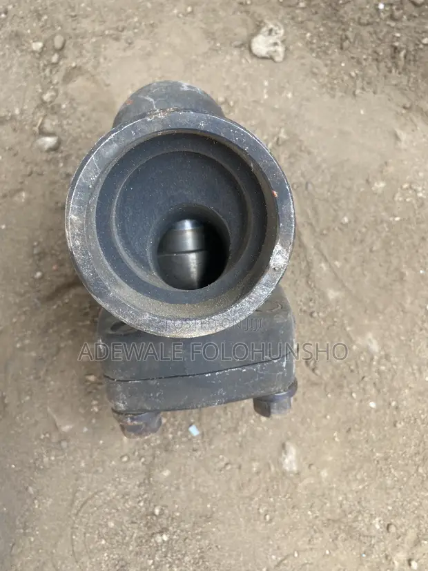 Master Welded Steam Check Valve - 1