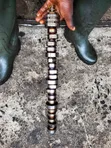 Dodge Challenger/Ram 5.7L Block Camshaft (16 Plugs) - 1