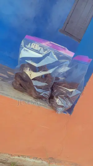 Quality Dried Seafood for Sale