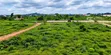 500sqm Residential Land for Sale in Enugu - 3