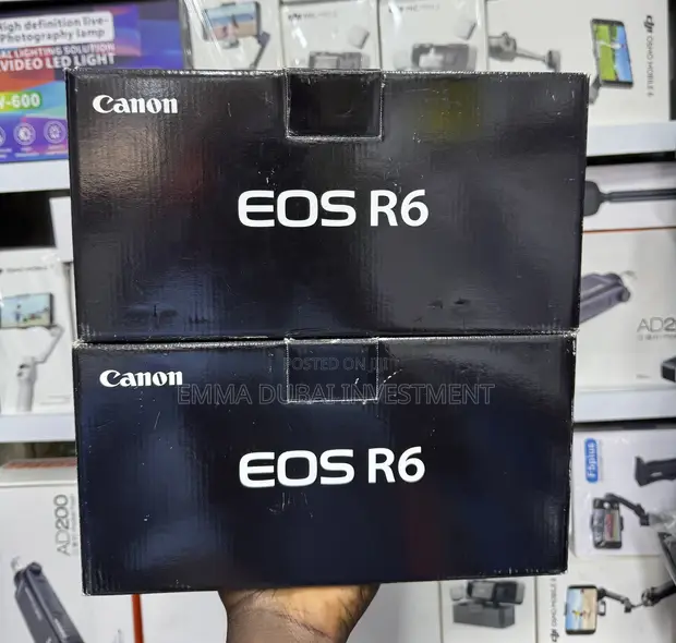 Canon EOS R6 Full-Frame Mirrorless Camera - 1